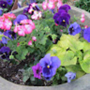 Meet your Posher, Deb